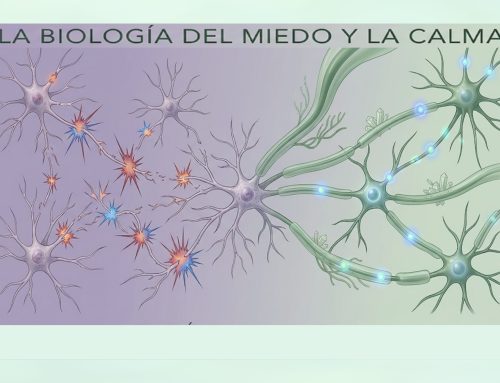 Ansiedad